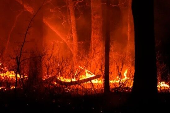 NJ Fire